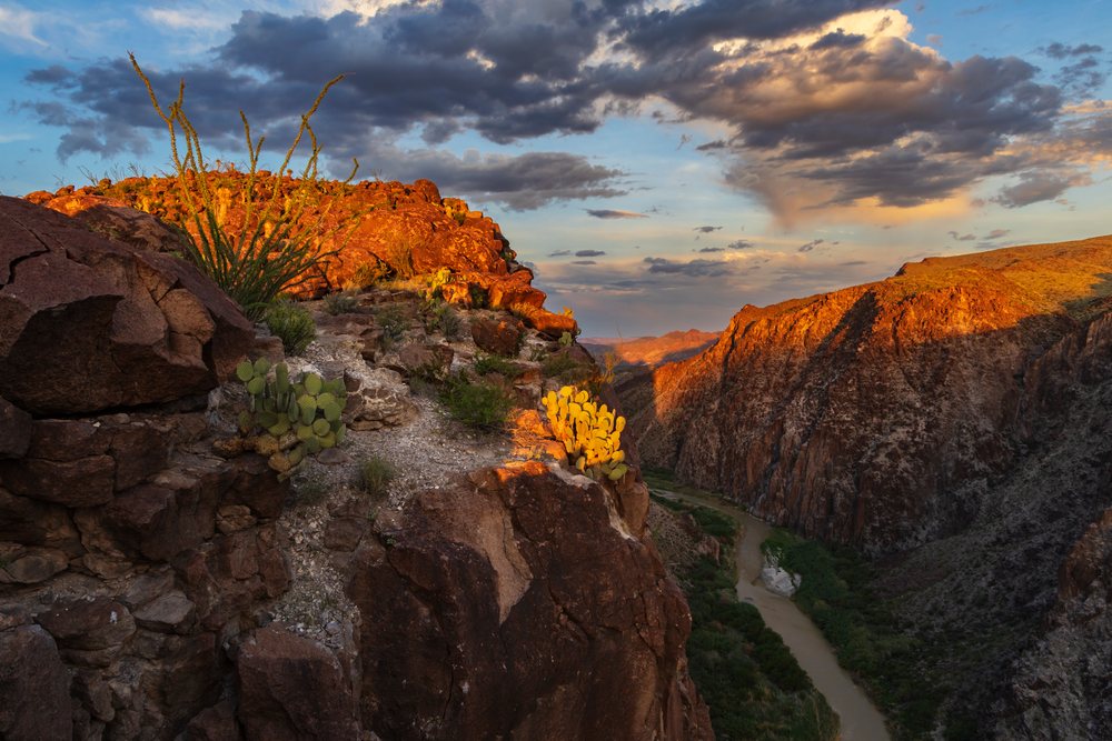 Rio Grande River flowing through rocky cliffs at sunset in big bend ranch state park, Landscape, Wildlife, Lajitas, Texas, USA.
