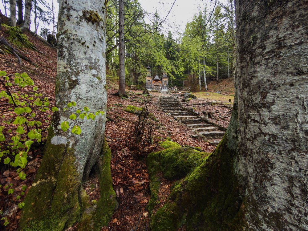 Russian Orthodox chapel with domes and cross stands atop stone steps in a mossy, wooded valley at Vršič Pass, Landscape, Kranjska Gora, Slovenia.