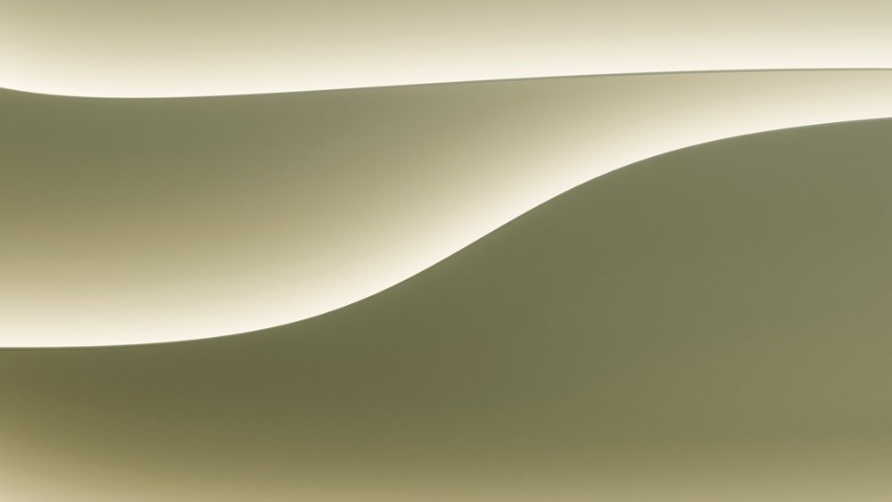 Minimalist curved wall softly lit to highlight smooth flowing shapes in a modern interior setting.