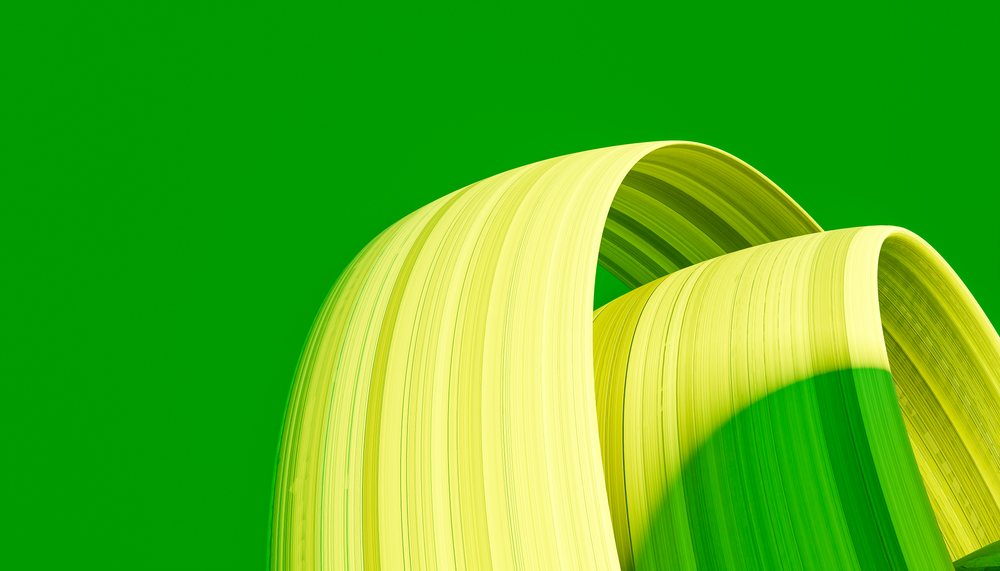 Abstract yellow and green curved sculpture against a green background.