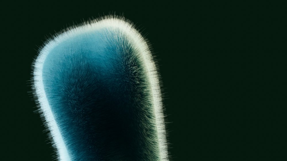 Close-up image showing a blue-green mold colony exhibiting filamentous fungal growth and visible fungal hyphae.