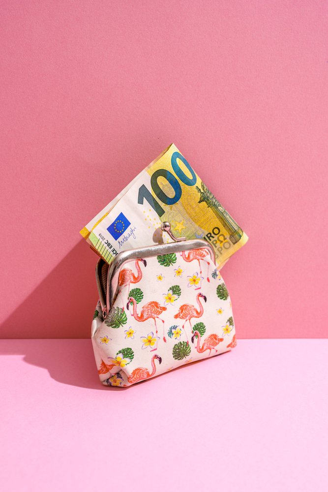 Coin purse with flamingo pattern holding a folded 100 euro banknote on a pink background in a studio setting, Studio Shot.