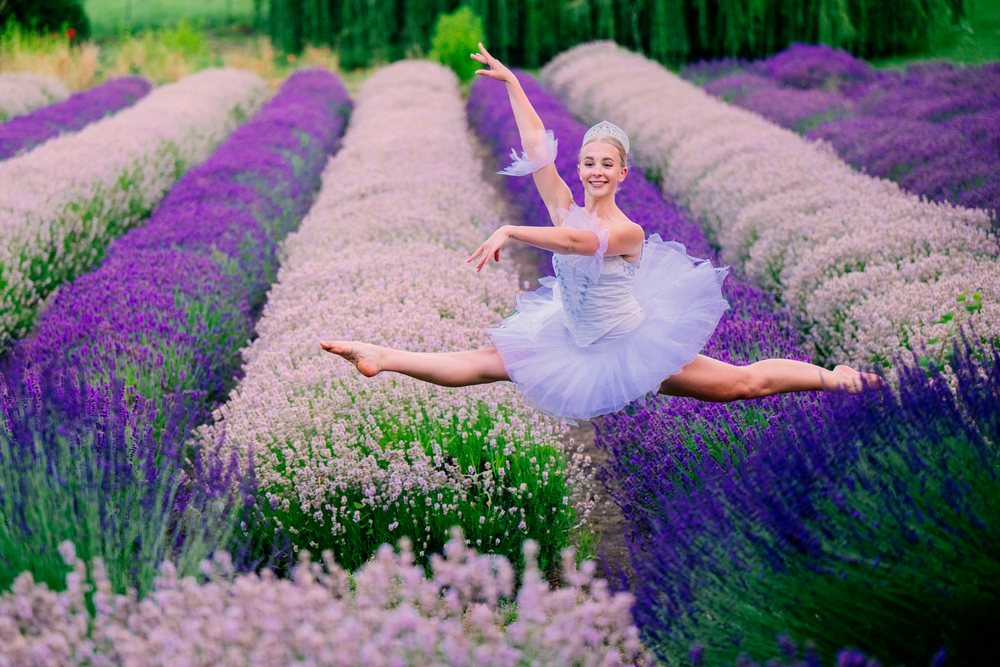 A ballet dancer leaps gracefully through rows of blooming lavender flowers in a field, WA, USA.