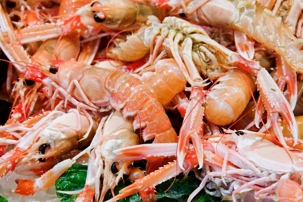 Fresh scampi and langoustine crustaceans displayed on ice at a seafood market, Catalunya, Spain.