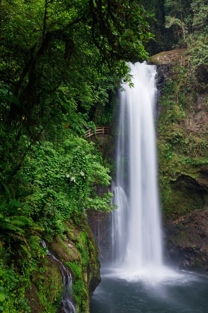 Large waterfall cascades into a pool, Cordillera Central, Costa Rica.