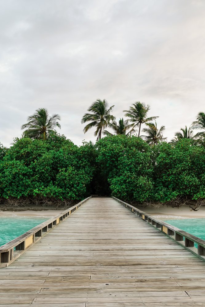Wooden boardwalk pathway through tropical trees by the beach