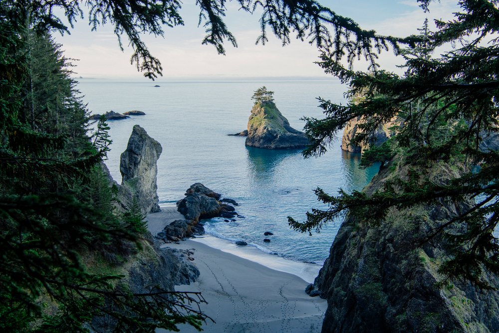 View of coastal rock formations, a small tree-covered island, and a sandy beach through evergreen trees, Boardman State Park, Oregon, USA.