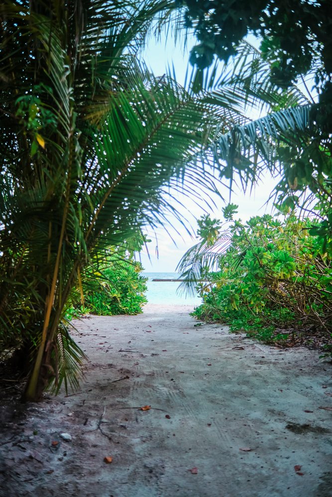 A sandy tropical path reveals a clear ocean view