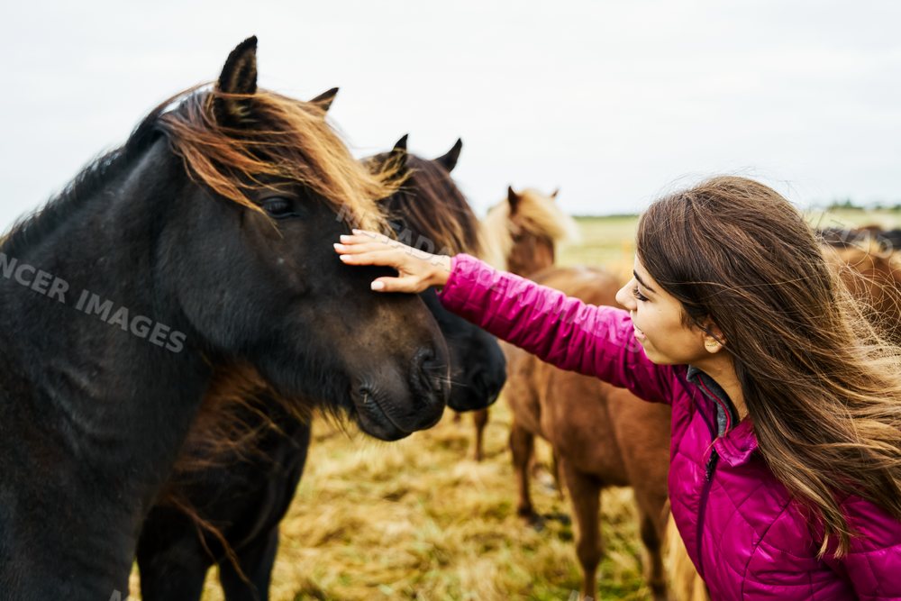 White Woman gently pets a black horse in a field in Iceland