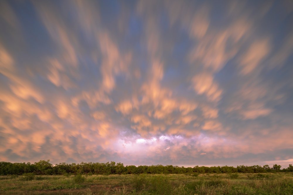 Lightning flashes beneath a Sunset sky with a Supercell storm over grassy fields and trees, Storm Chasing, Weather, Environment, Uvalde, Texas, USA.