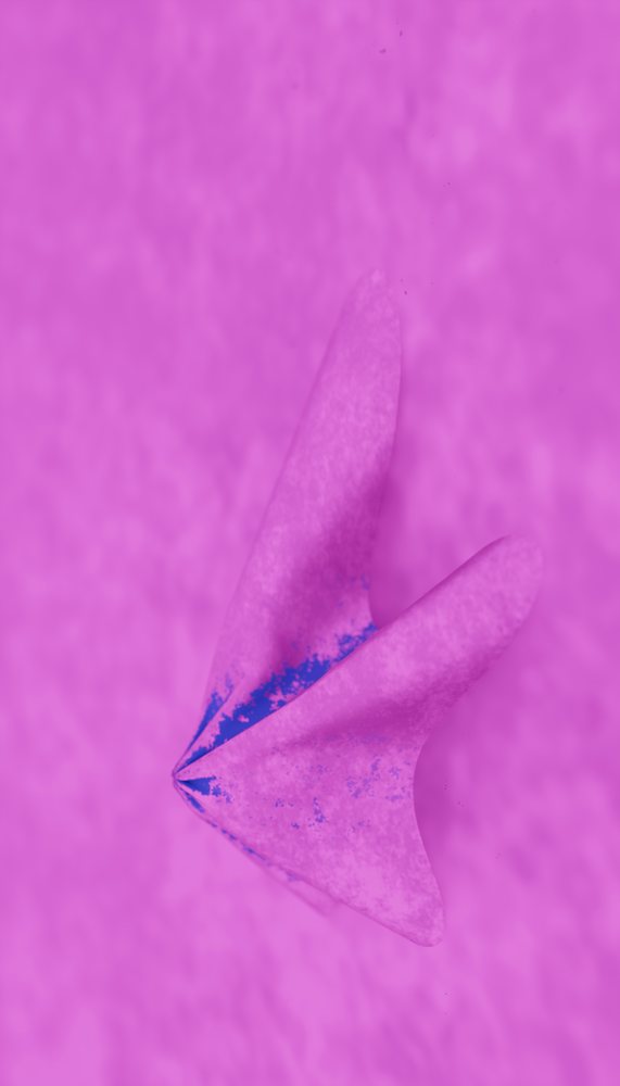 Close-up of a pink butterfly wing showing delicate texture and natural pattern.
