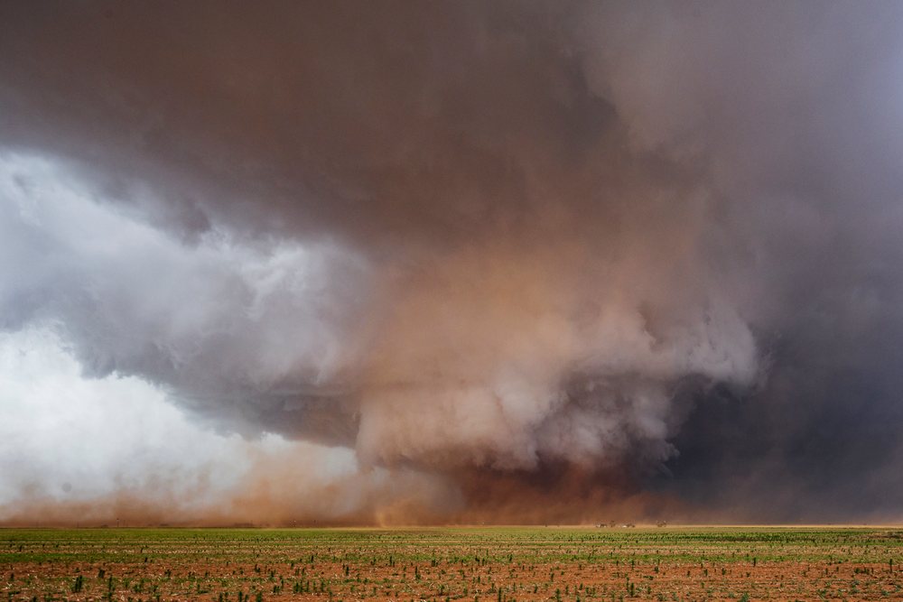 Large Monster Wedge Tornado forms beneath dark storm clouds over an open green agricultural field in the Great Plains, Morton, Texas, USA.