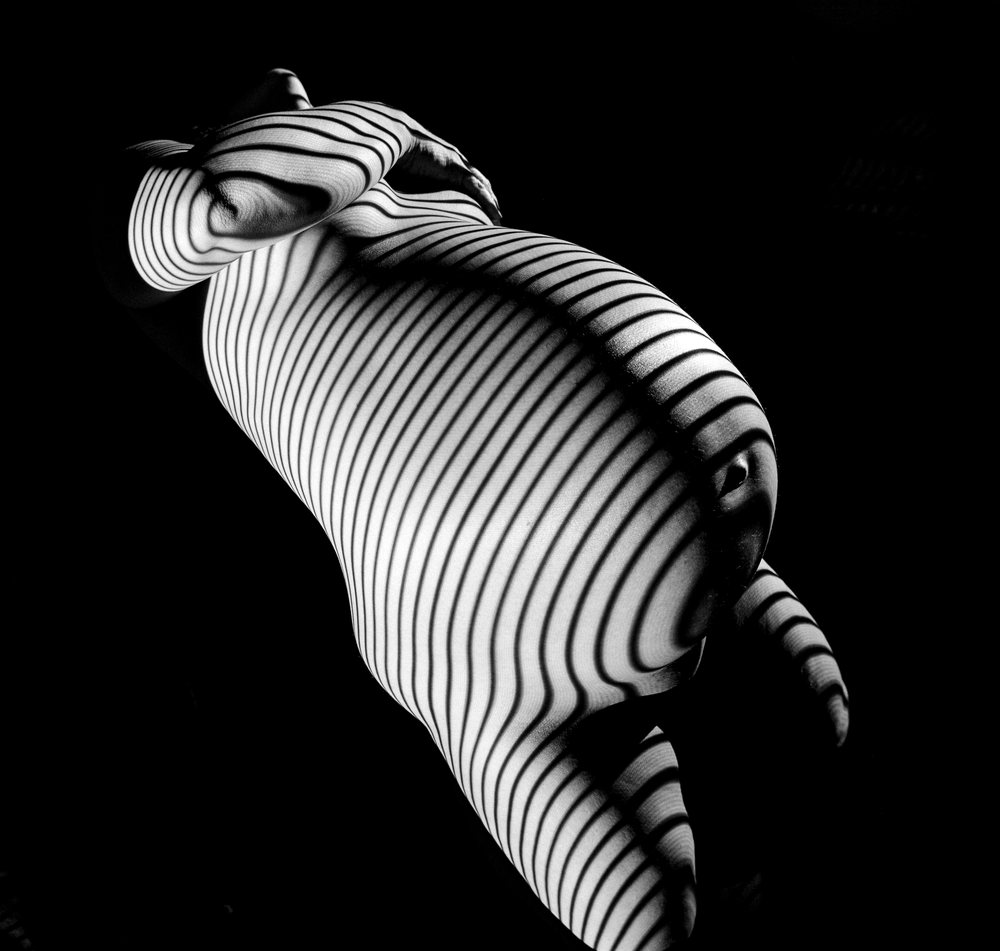 Monochrome image of a pregnant woman posed nude with striped light patterns highlighting her body against a black background studio setting, pregnancy.