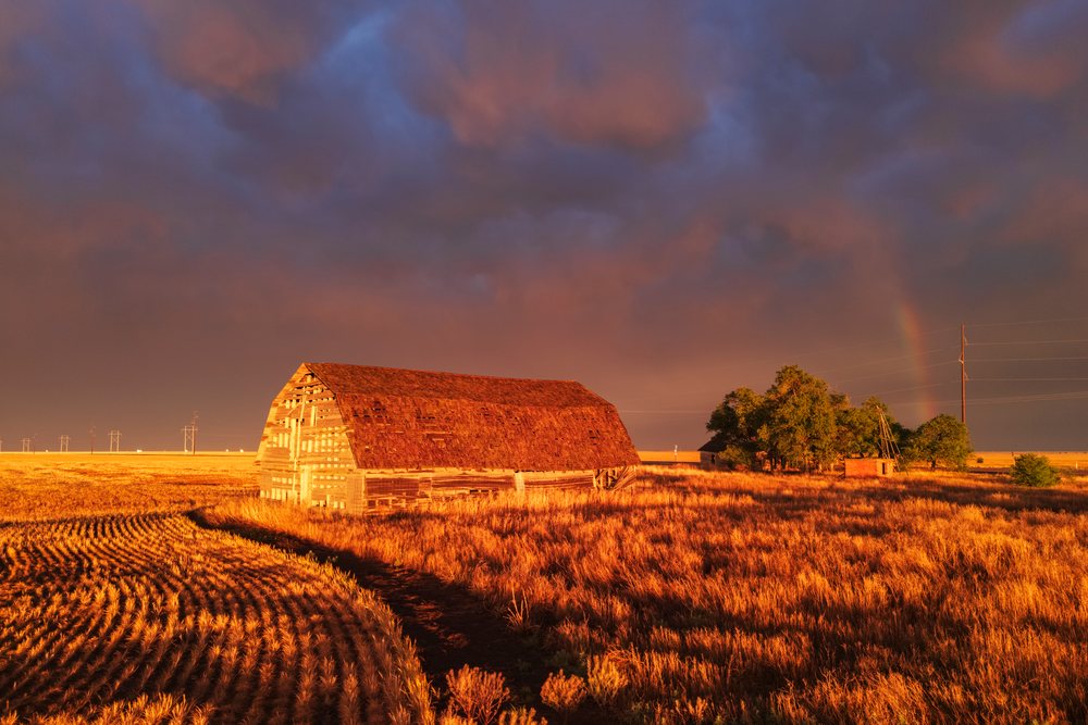 Old barn in a grassy field at sunset with a rainbow and dark storm clouds, Storm Chasing, Weather, Environment, Eva, Oklahoma, USA.
