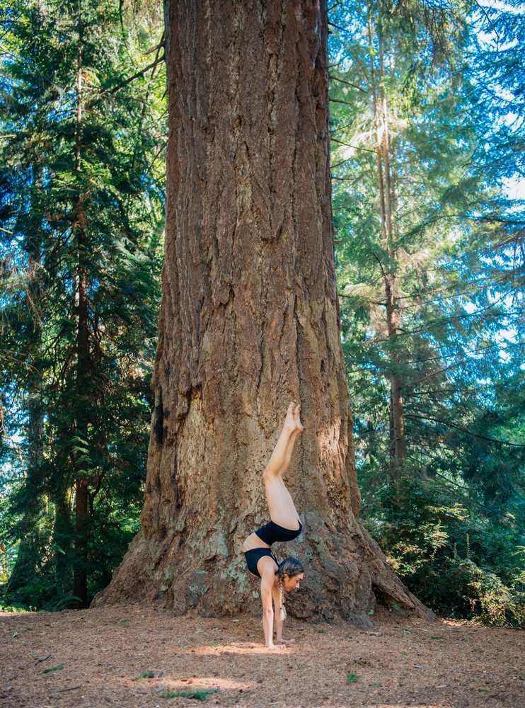 Woman performing a handstand against a large tree in a forest during daylight, contortionist, Tacoma, WA, USA.