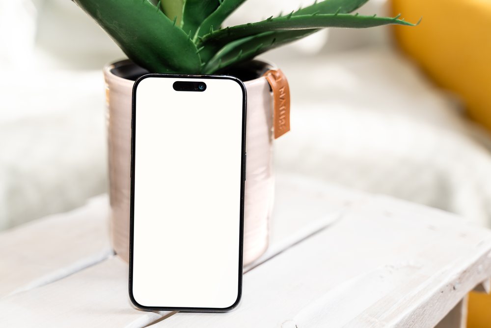 Smartphone with blank white screen on white wooden table beside a potted green succulent plant indoors, mock up, Spain.