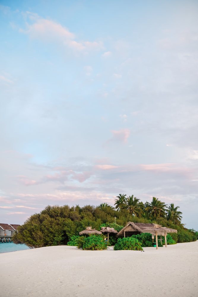 Thatched huts on a tropical Maldives beach surrounded by palm trees