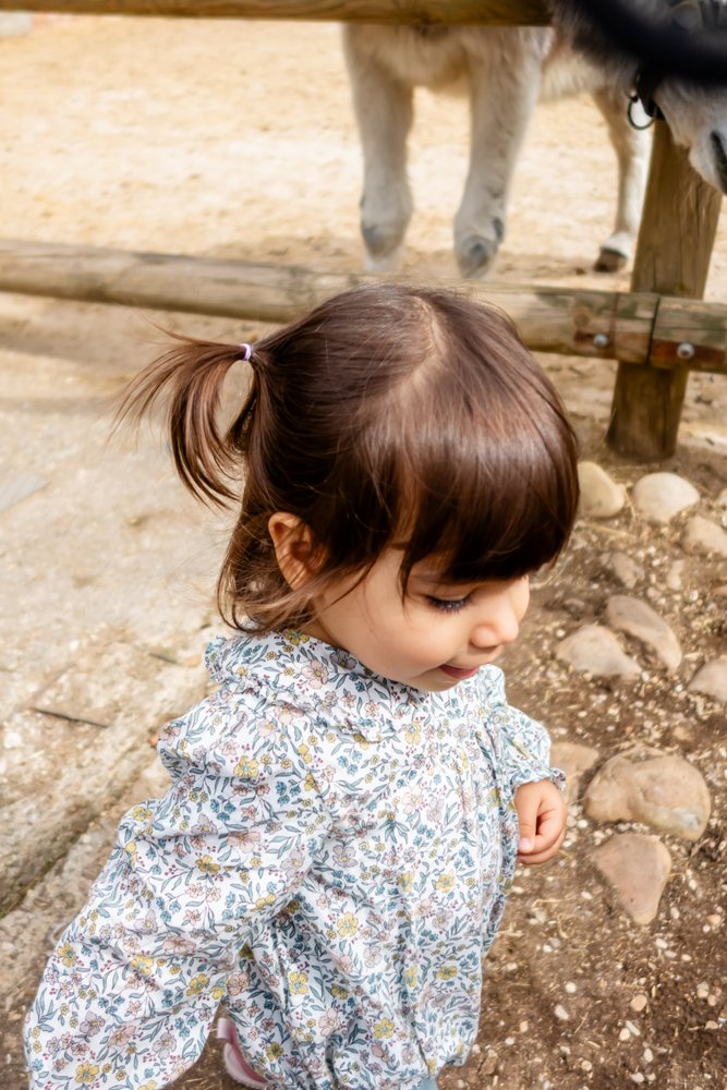Young girl with brown pigtails wearing a flower print dress walks outdoors near a wooden fence and rocks with animal legs visible over the fence, kids, Spain.