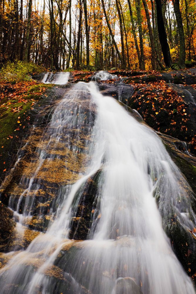 Waterfall flowing over rocks in a forest during autumn with colorful fall foliage, Virginia, USA.
