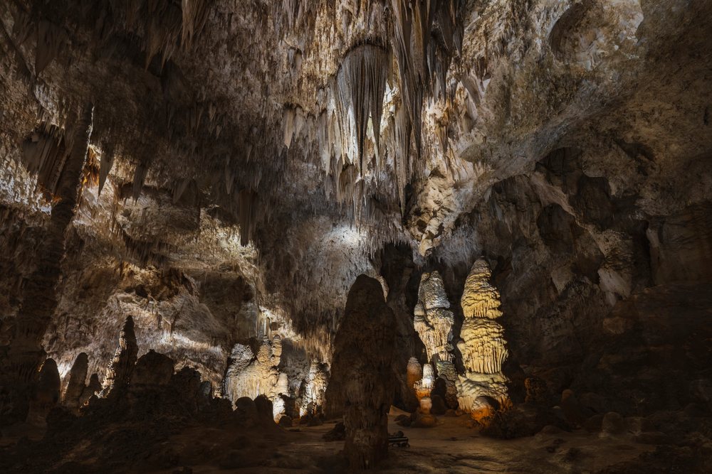 Carlsbad Caverns features illuminated stalagmites and stalactites in a large underground chamber, landscape, wildlife, Carlasbad Caverns, New Mexico.