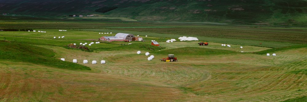 Tractors harvest hay across grassy rolling fields dotted with white-wrapped hay bales near a barn and farm buildings.
