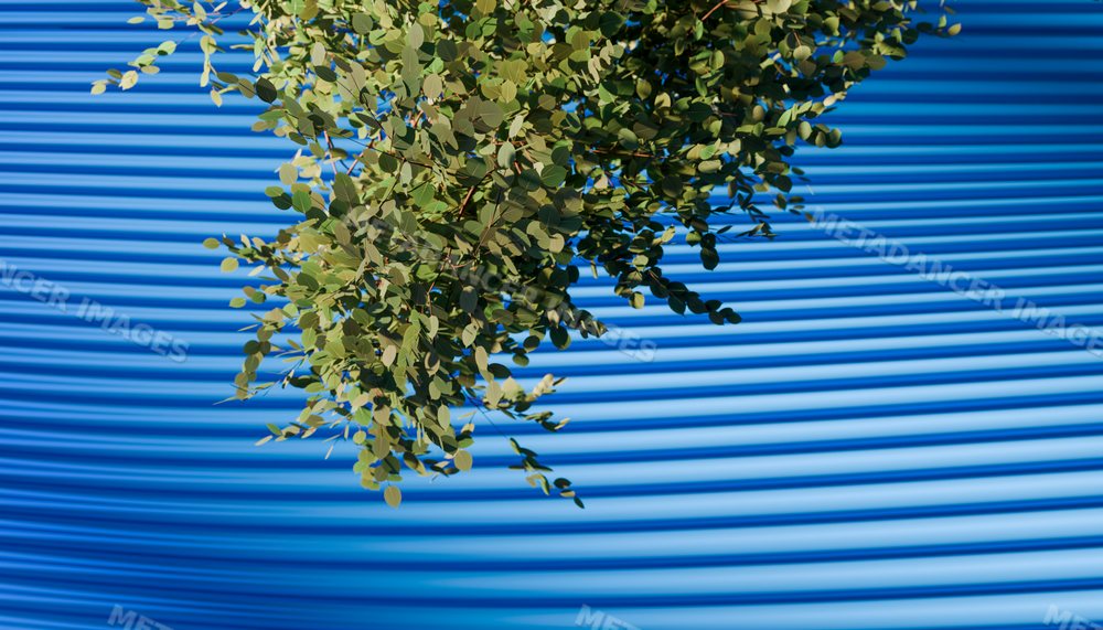 Green tree branch against a blue corrugated metal wall