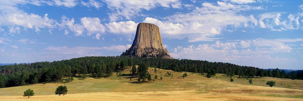 Devil's Tower, a large monolithic rock formation, rises above grassy hills and scattered pine trees under a partly cloudy sky in Wyoming, Devil's Tower National Park Wyoming, USA.