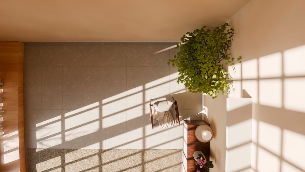 Sunlit minimalist room corner with wooden dresser, chair with pillow and throw blanket, and an indoor plant casting shadows on wall and floor.