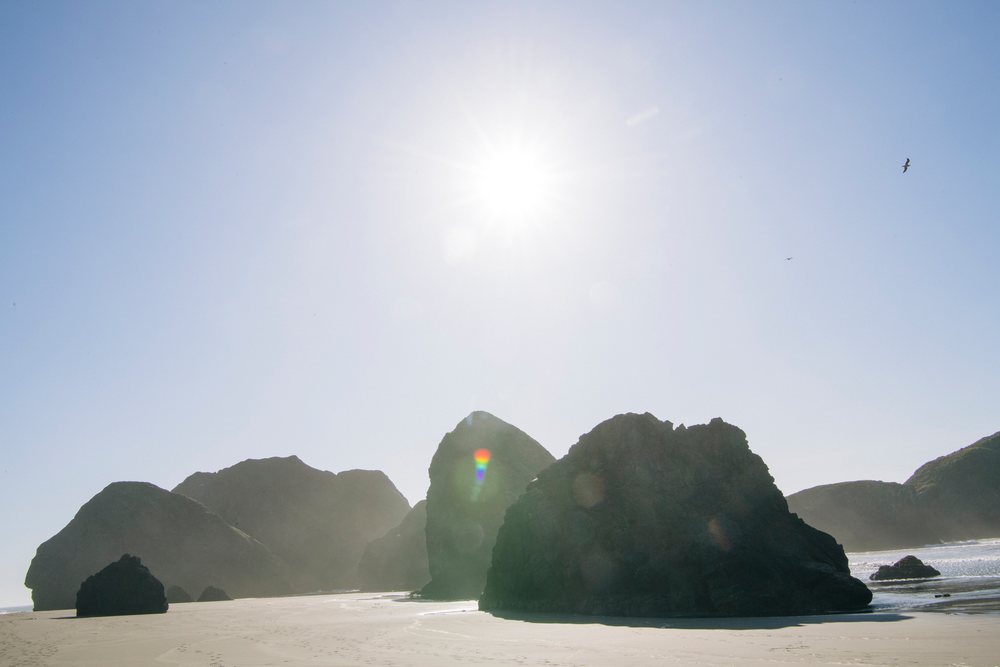 Seagull flies above large rocks on a sandy beach under a bright sun and clear sky, Meyers Creek, Oregon, USA.