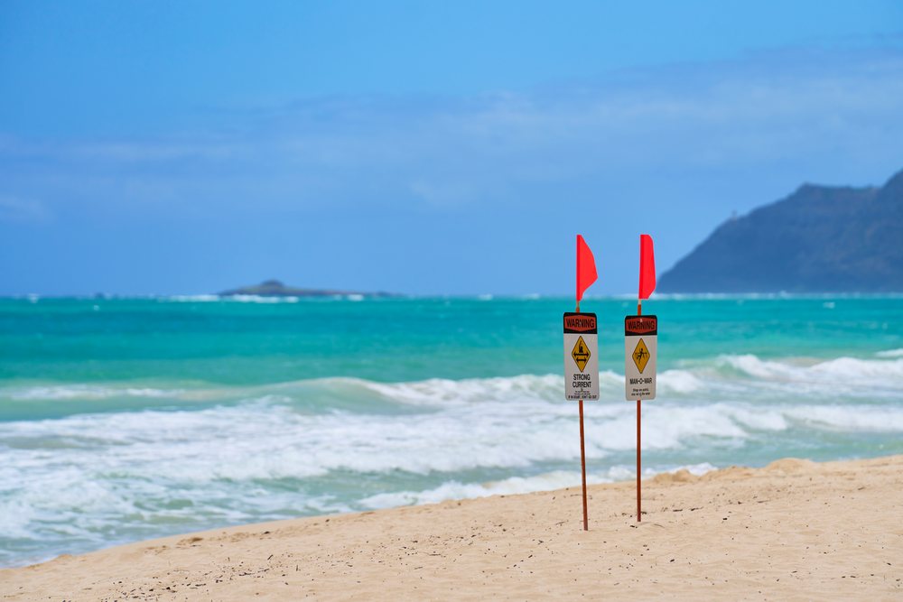 Warning signs with red flags stand on a sandy beach by ocean waves, indicating strong currents and man-o-war hazards, Hawaii, USA.