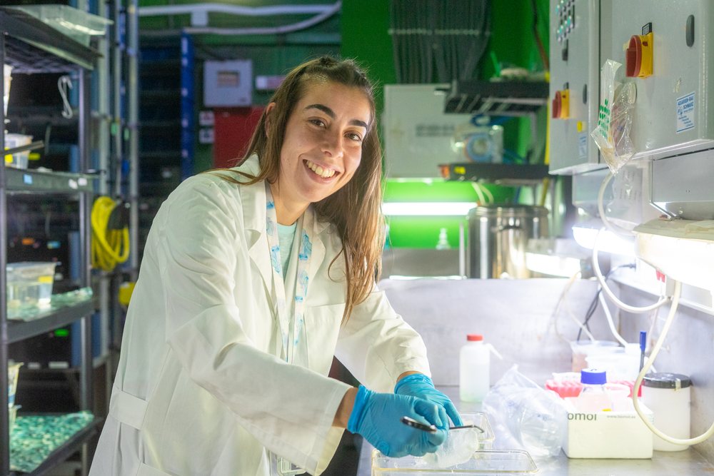 A female scientist wearing blue gloves and a lab coat smiles while working on an experiment in a laboratory, research, science, Spain.