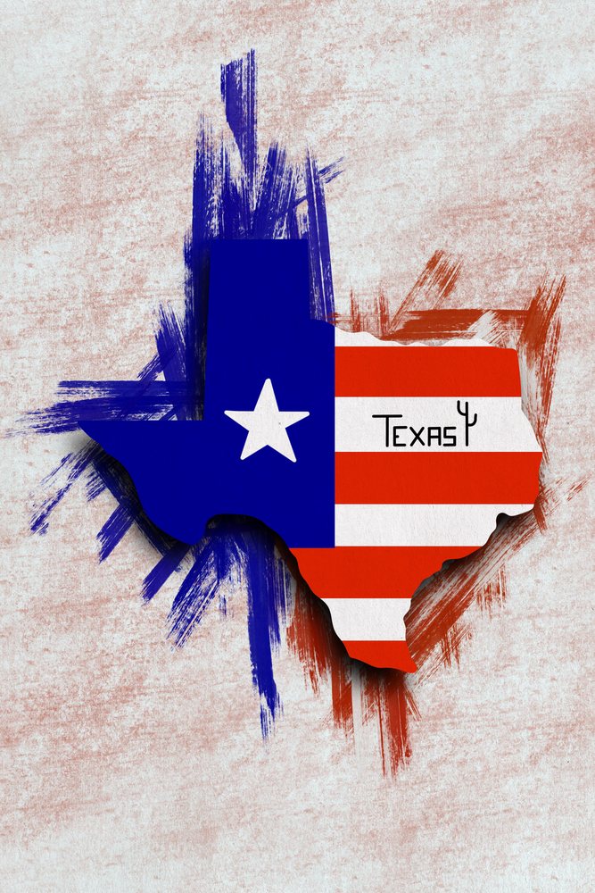 Illustration of a U.S. state shape with a stylized star flag design and textured paint strokes.