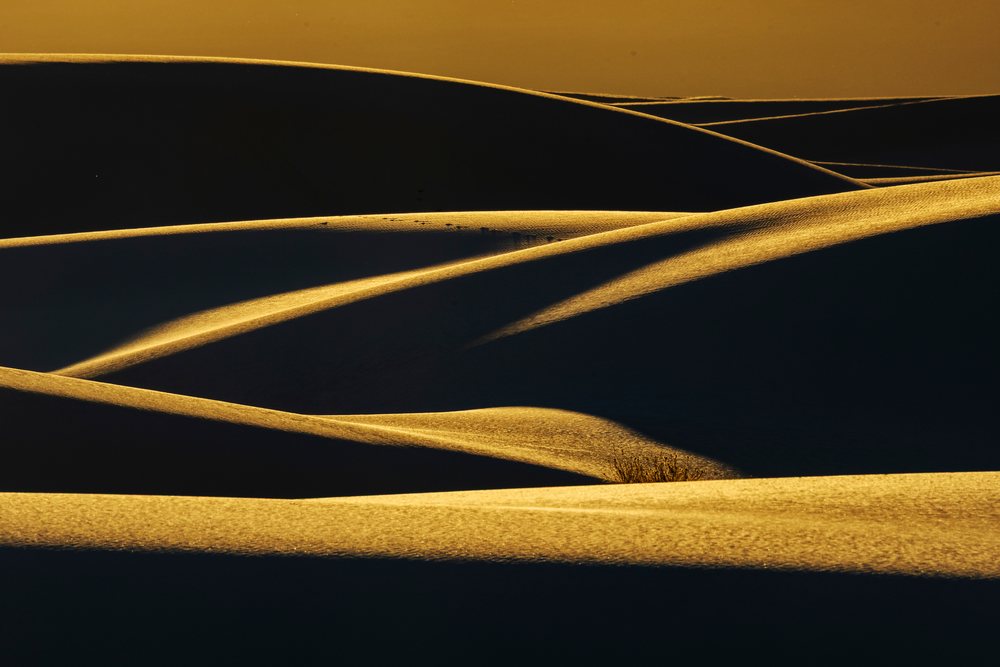 Sand dunes glowing with golden Sunset light and dry desert vegetation, landscape, wildlife, Alamogordo, New Mexico, USA.
