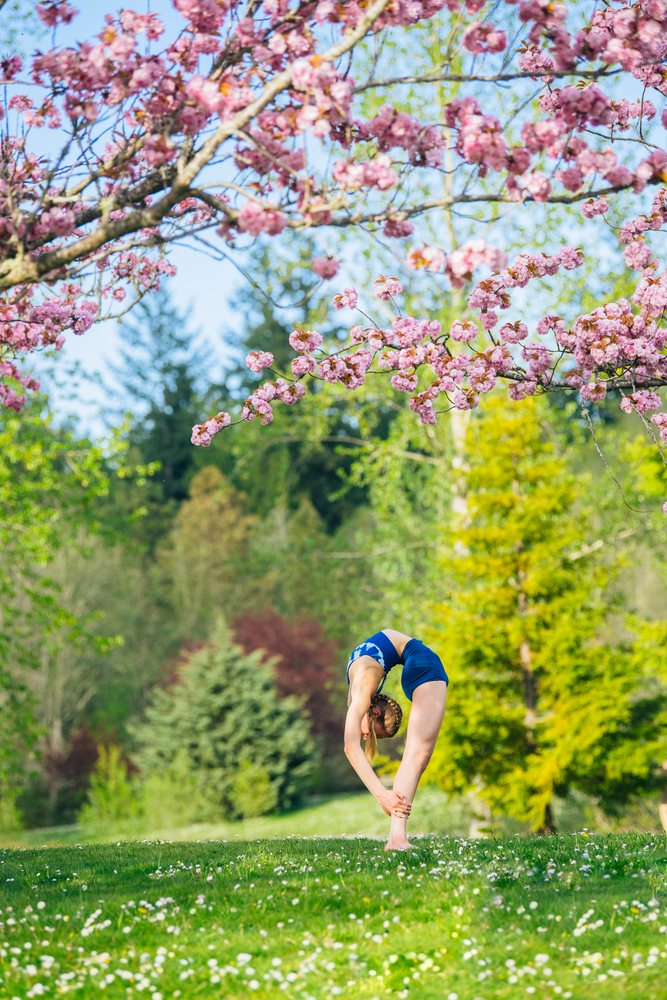 Woman practices yoga stretching outdoors under blossoming pink trees on a spring day, USA.