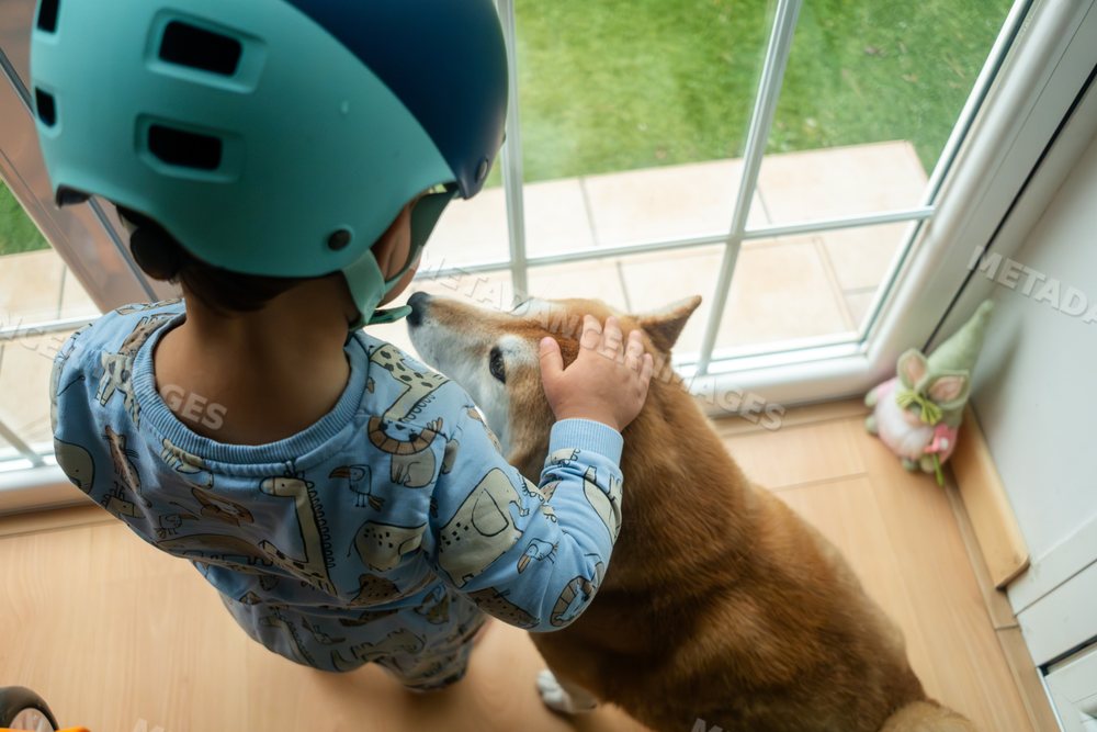 A young white boy wearing a helmet pets a small brown dog indoors