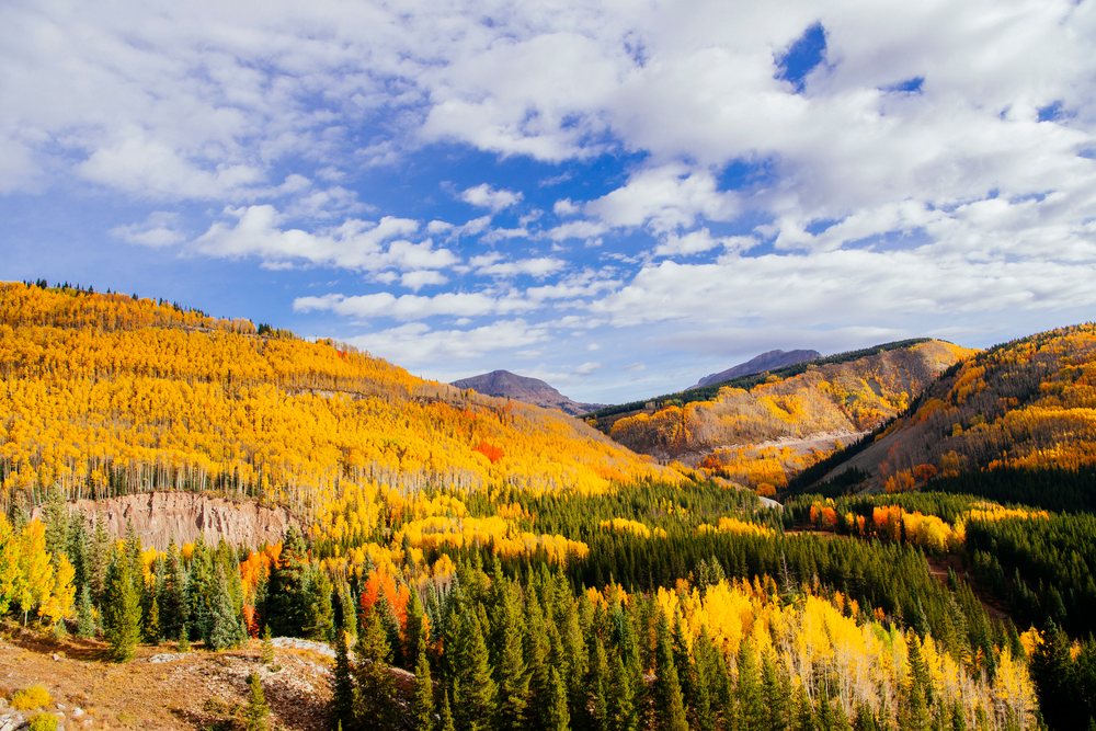 Mountain forest, Colorado displays vibrant fall colors under a partly cloudy blue sky, Durango, USA.