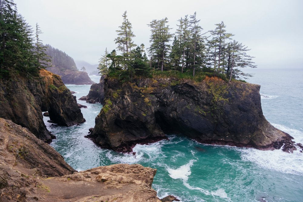Rocky coastal cliffs with trees on cliffs and waves crashing into the ocean under overcast skies, Boardman State Scenic Corridor, Oregon, USA.