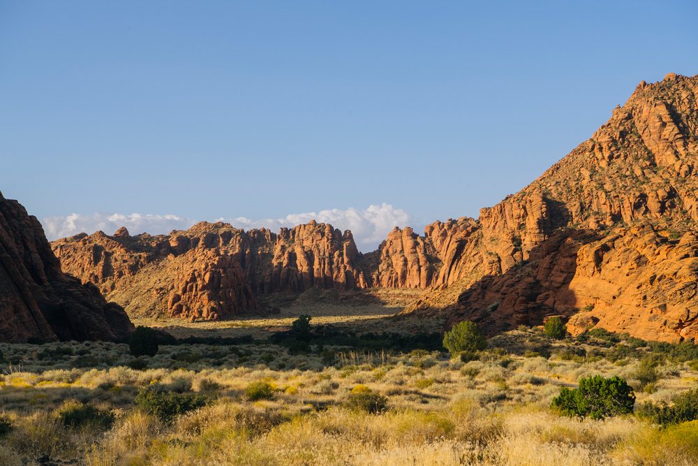Desert landscape with red rock formations, shrubs, and dry plants under a clear blue sky at red Cliffs Desert State Park, Snow Canyon, Utah, USA.