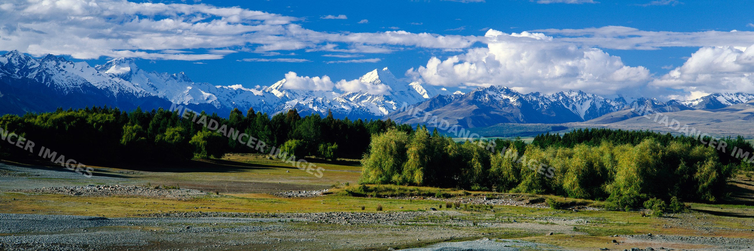 Mountain range with snow-covered peaks and dense forest landscape