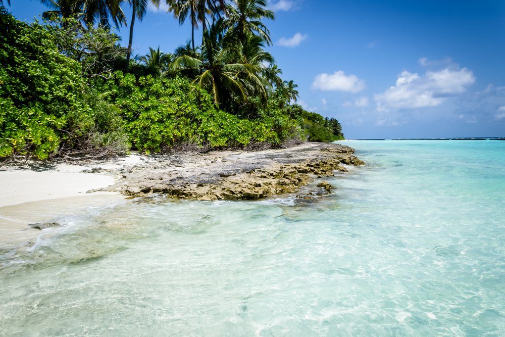 Tropical beach with clear turquoise water and palm trees in a beach