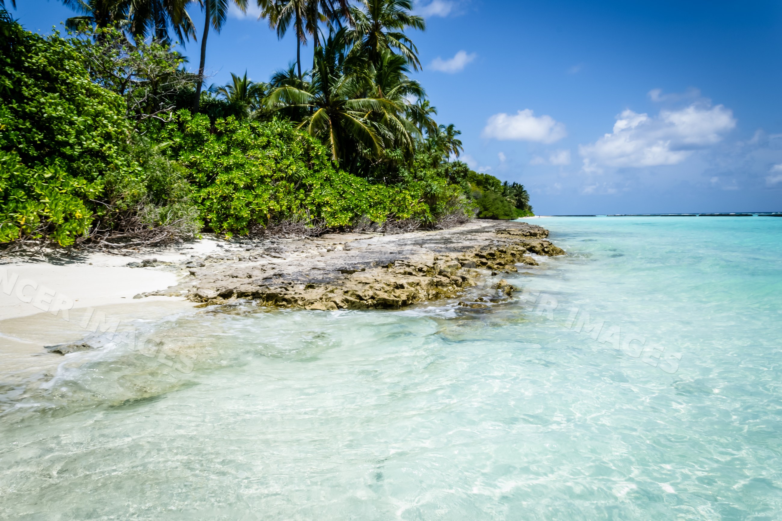 Tropical beach with clear turquoise water and palm trees in a beach