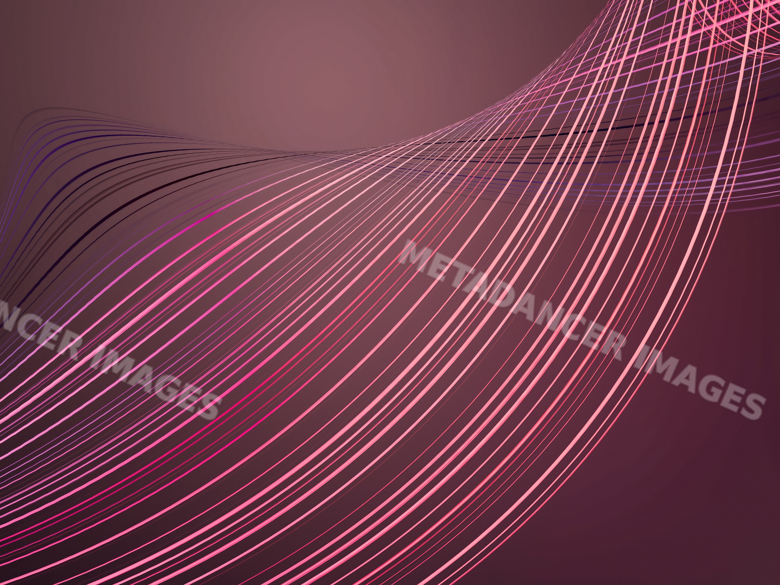 Abstract digital artwork with flowing pink and purple curved lines