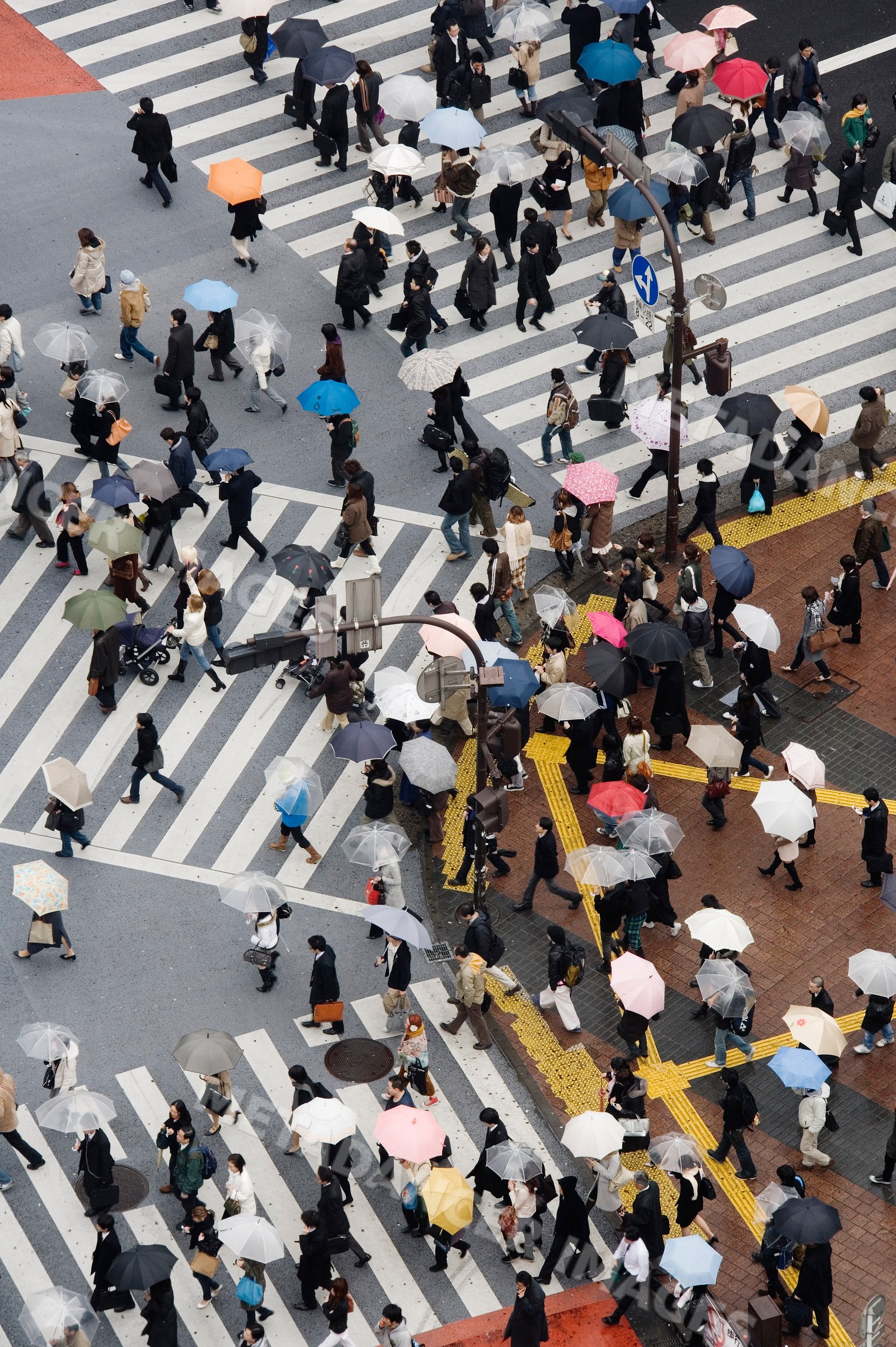 Crowd crossing shibuya crossing in rainy tokyo street scene