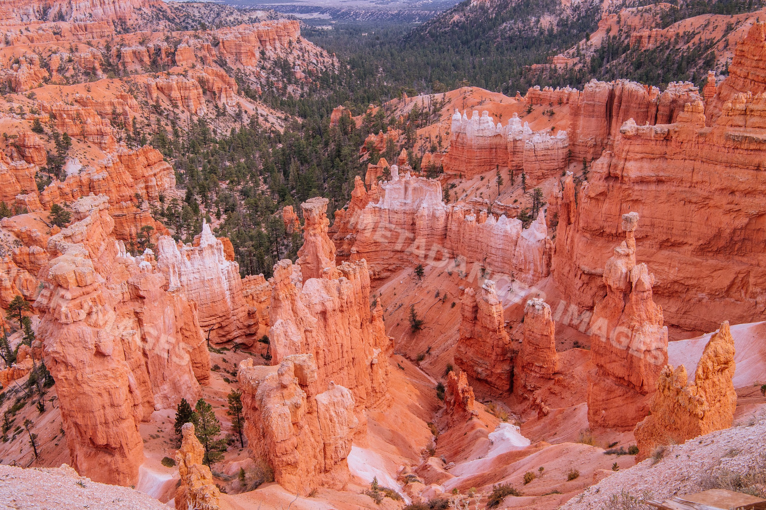 Scenic view of hoodoo rock formations at Bryce Canyon National Park