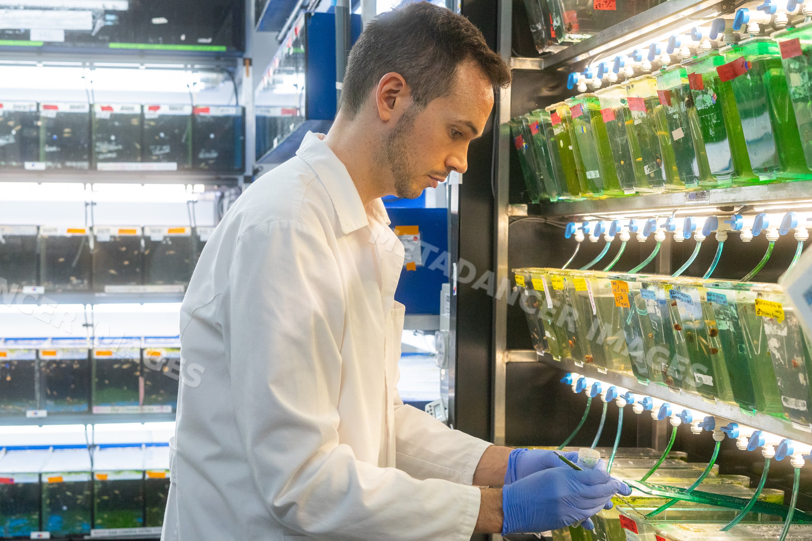 Scientist conducts aquatic research in a laboratory in Spain
