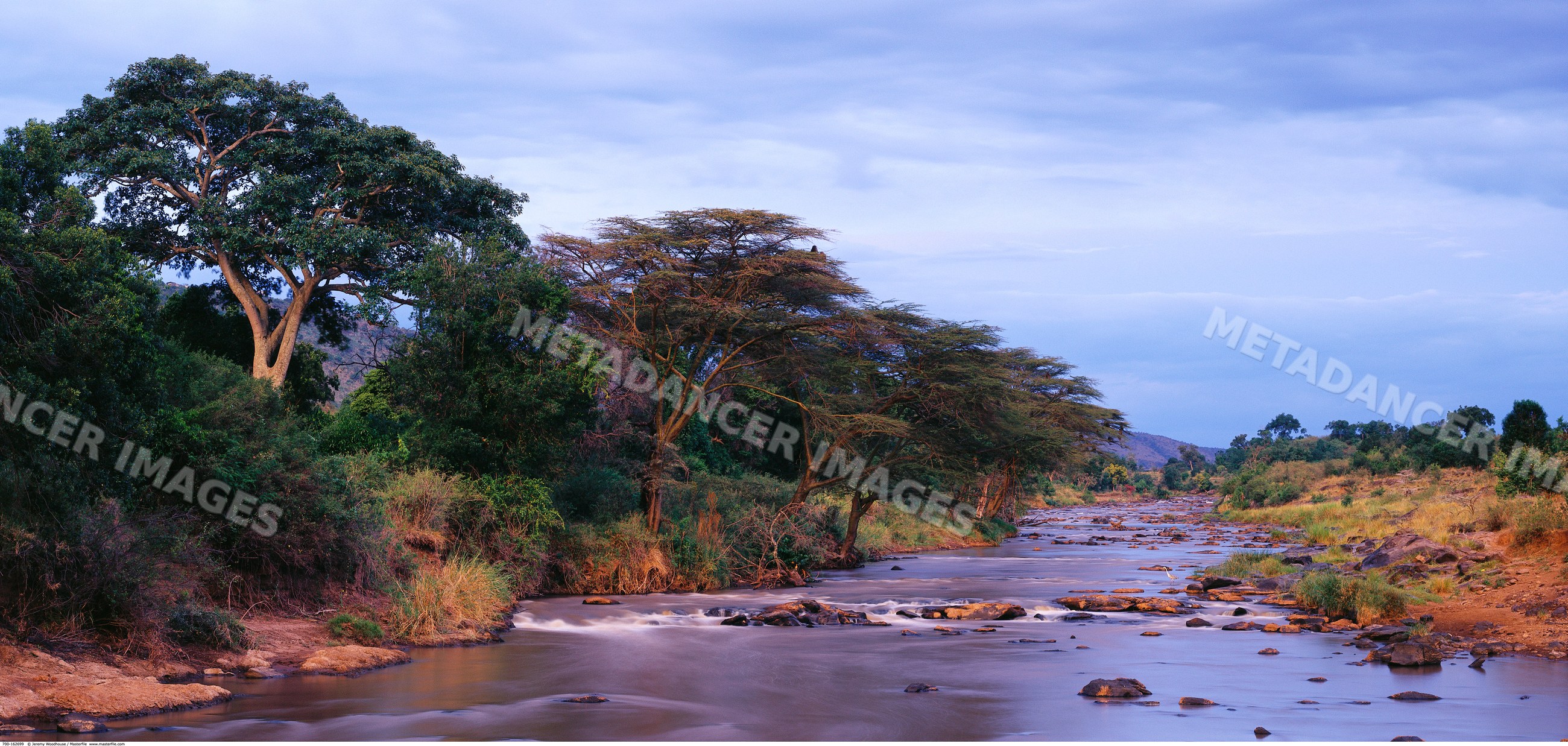 Mara river flowing through acacia tree-lined savanna africa