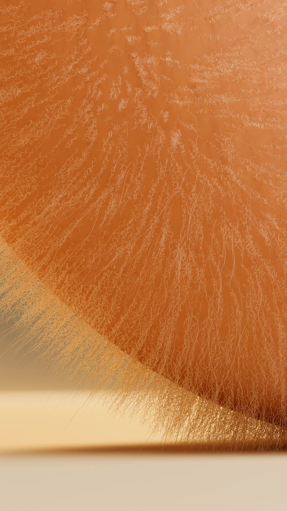 Close-up of mandarin orange peel texture with fine fibers