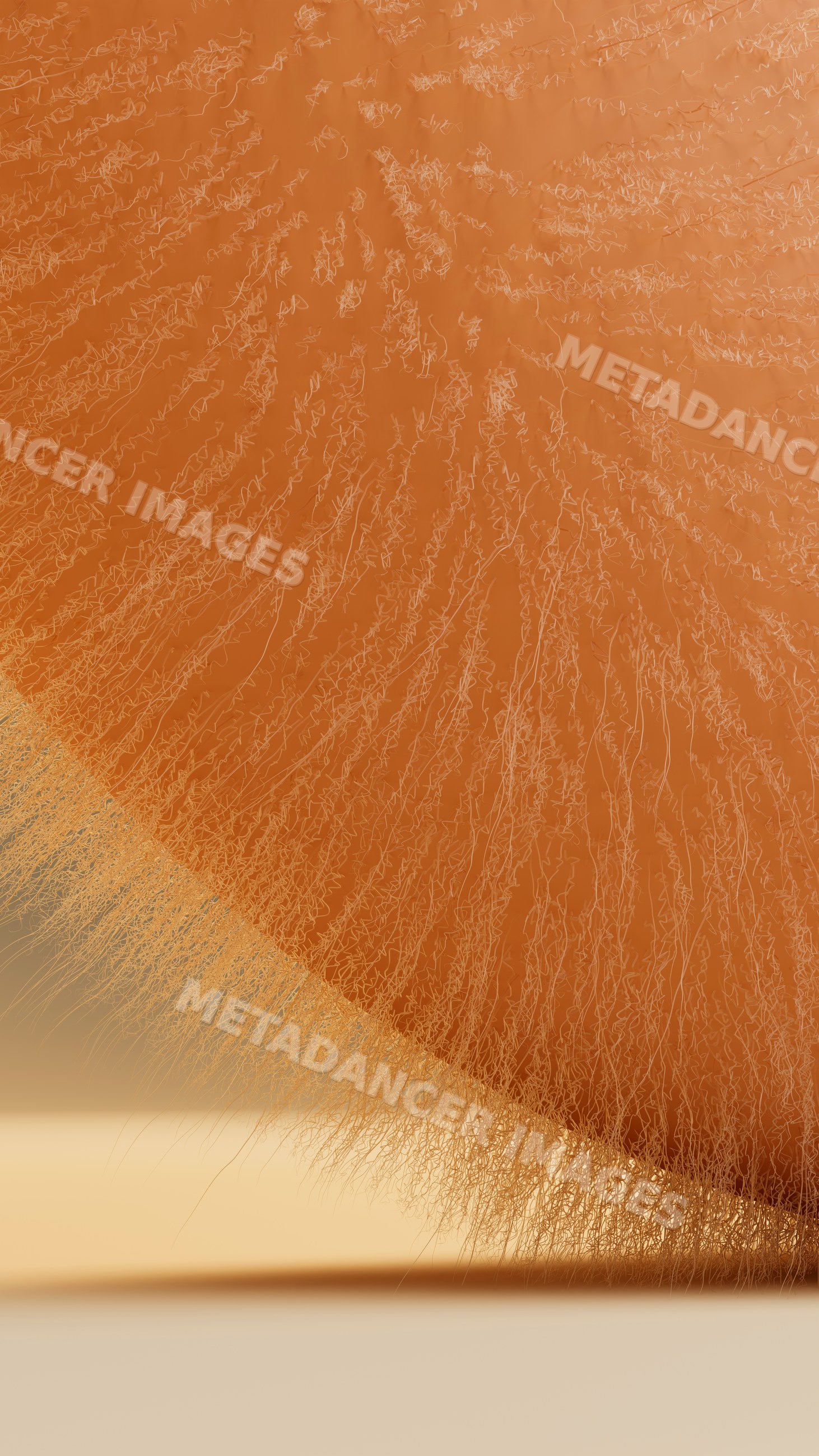 Close-up of mandarin orange peel texture with fine fibers