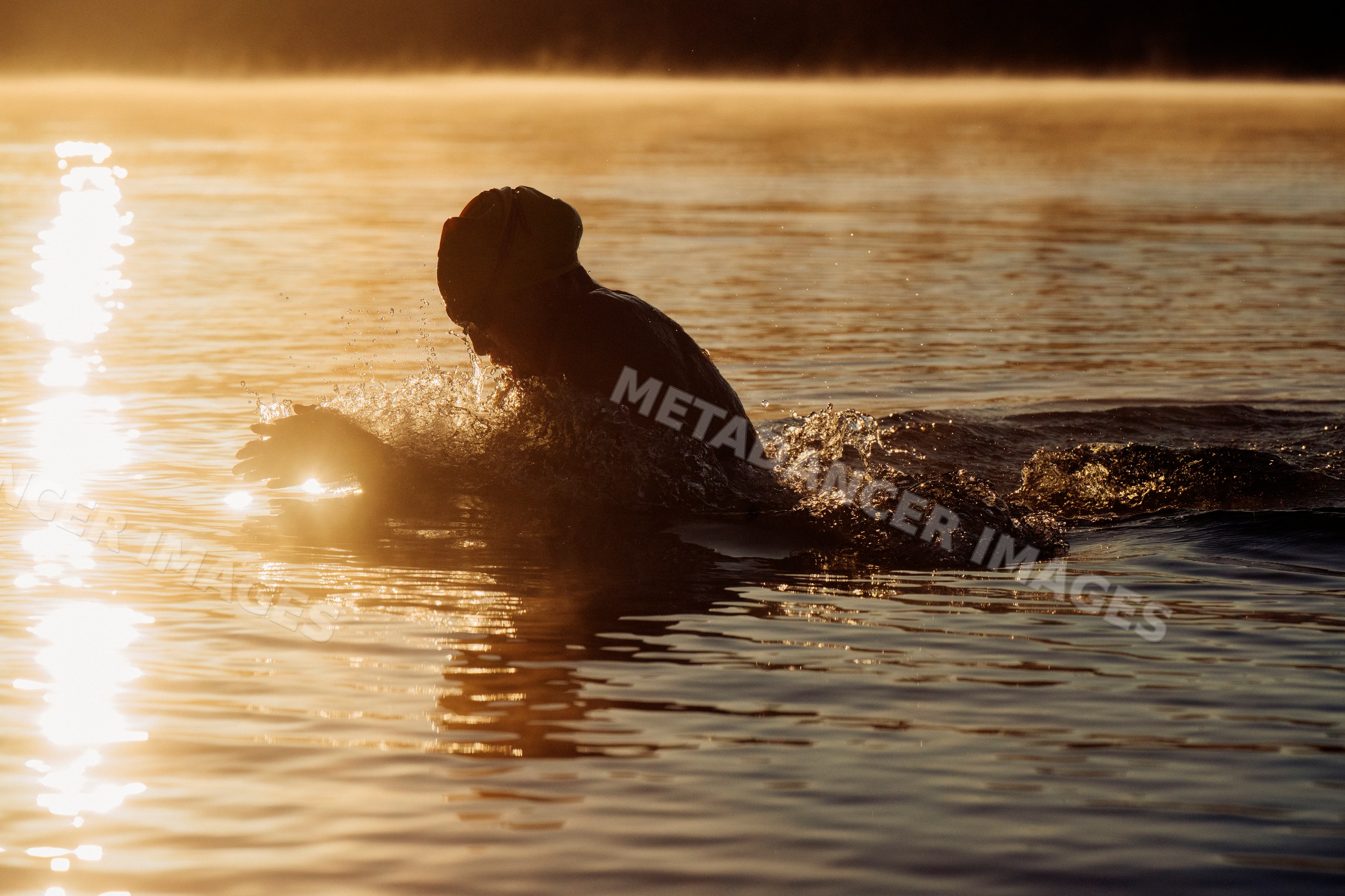 White swimmer swimming in a lake at sunrise with water splashes