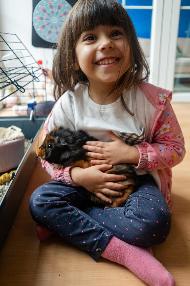 A white girl happily holds a guinea pig indoors in Madrid, Spain
